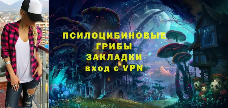 Галлюциногенные грибы Magic Shrooms  Углегорск 